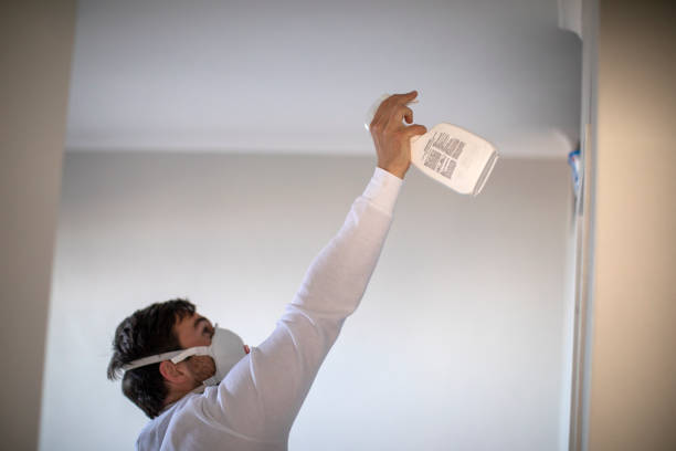 Best Preventive Mold Services in Parkwood, CA