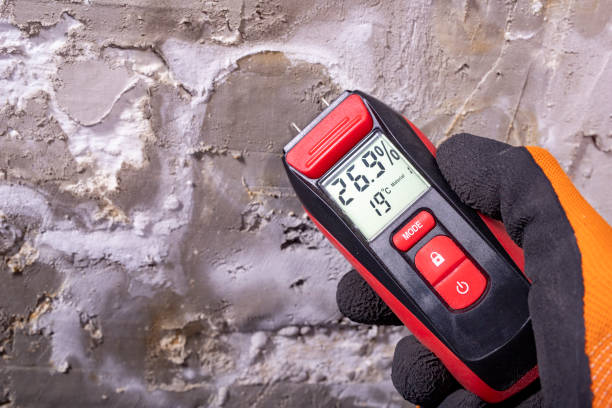 Best Industrial Mold Remediation in Parkwood, CA
